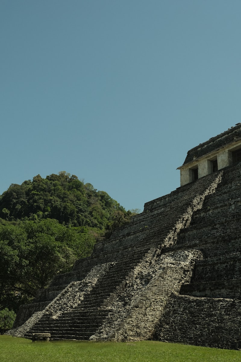 el palenque letra