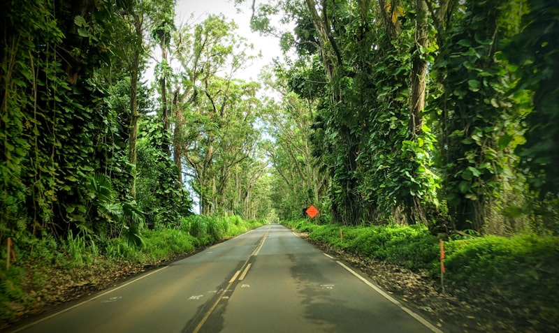 hamura saimin kauai