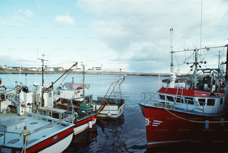 harbor seafood super buffet