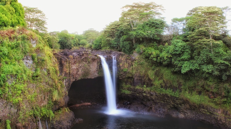 hilo lunch shop hours