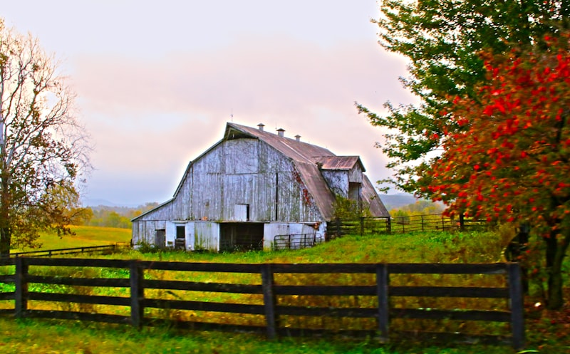 itty bitty burger barn