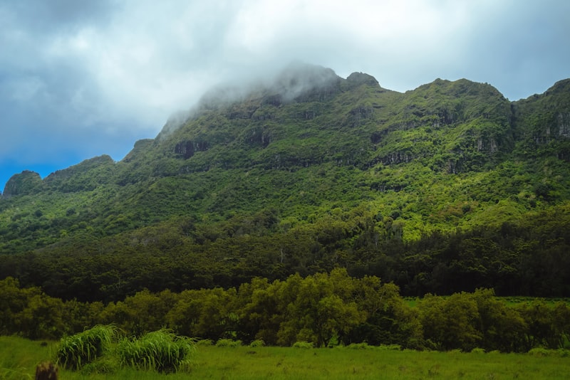 keoki's lihue menu