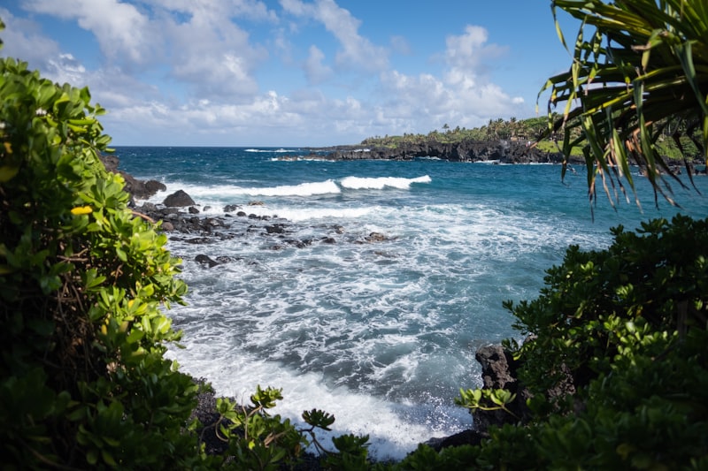 moose mcgillycuddy's maui lahaina