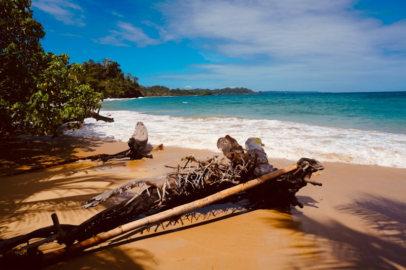 red frog beach