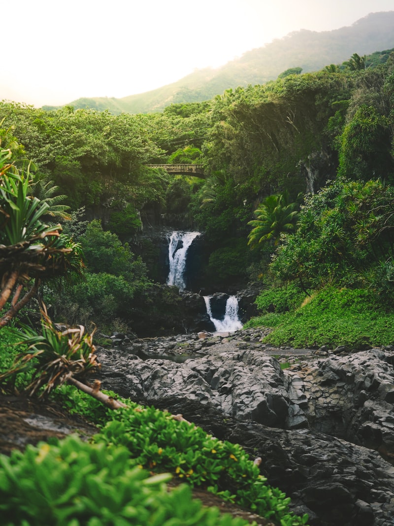 sushiman hawaii kai