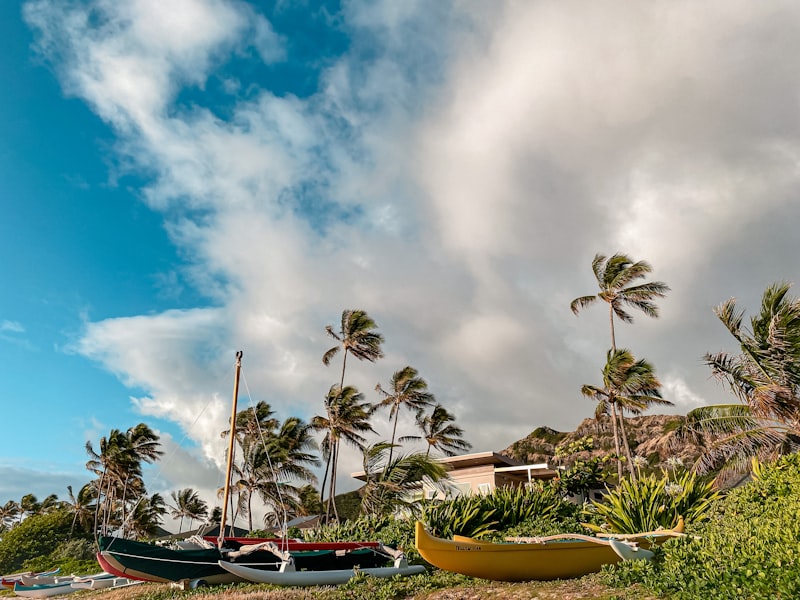 yogurstory oahu